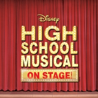 High school musical banner